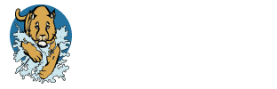 watsonlogo